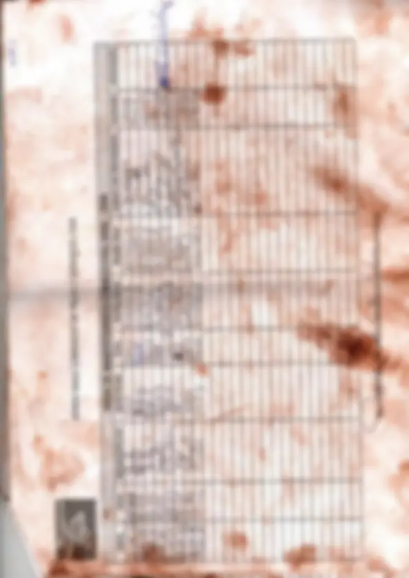 pf3