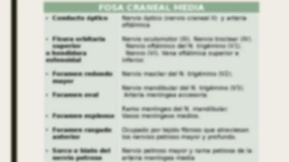 pf16