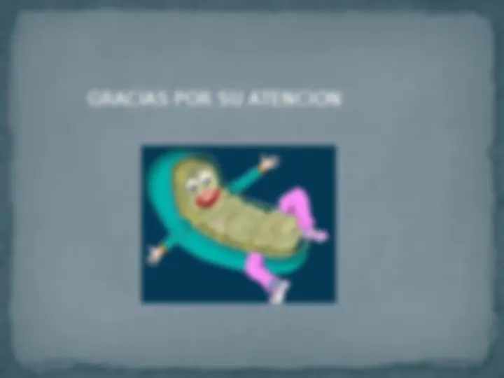 pf19