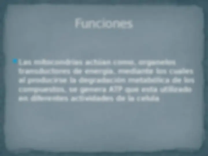 pf13
