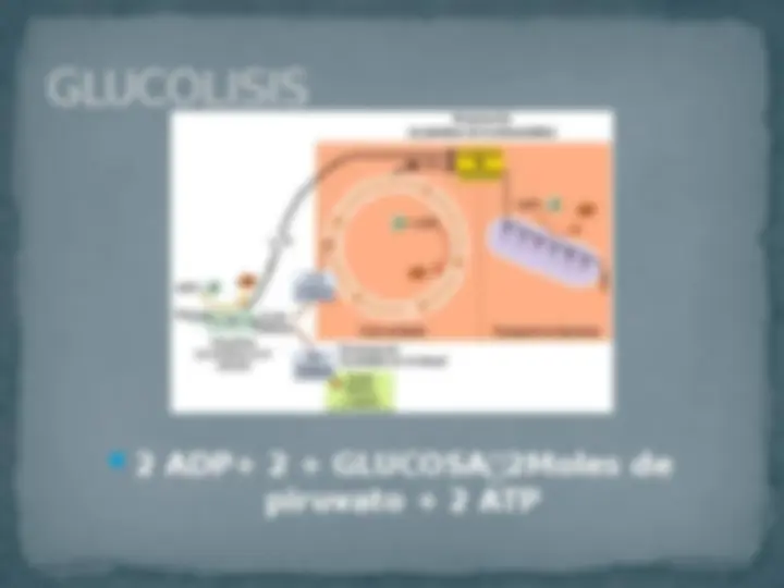 pf3