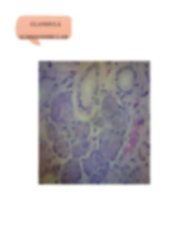 pfe