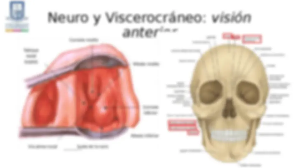 pfa