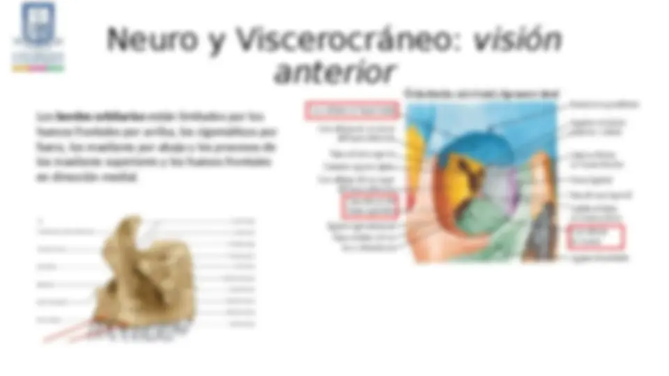 pff