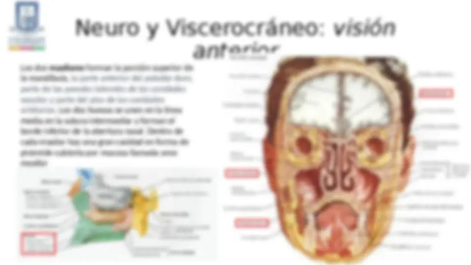 pfd