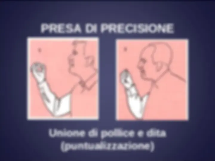 pf14