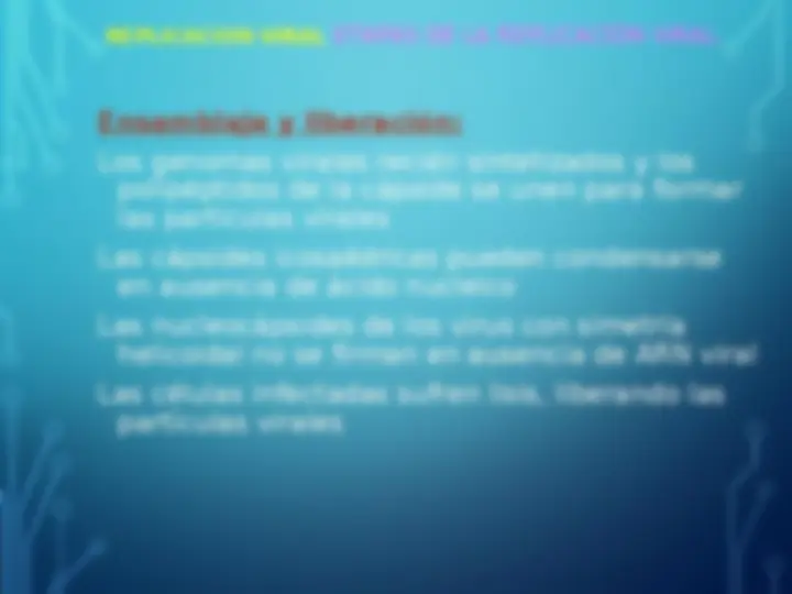 pfe