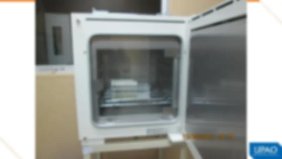 pf20