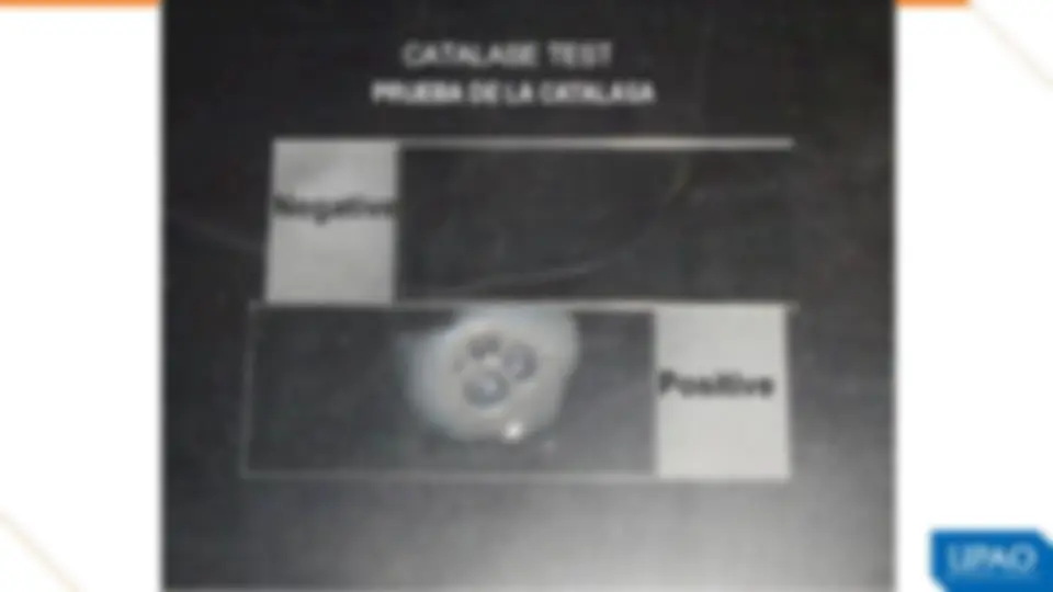 pf2a