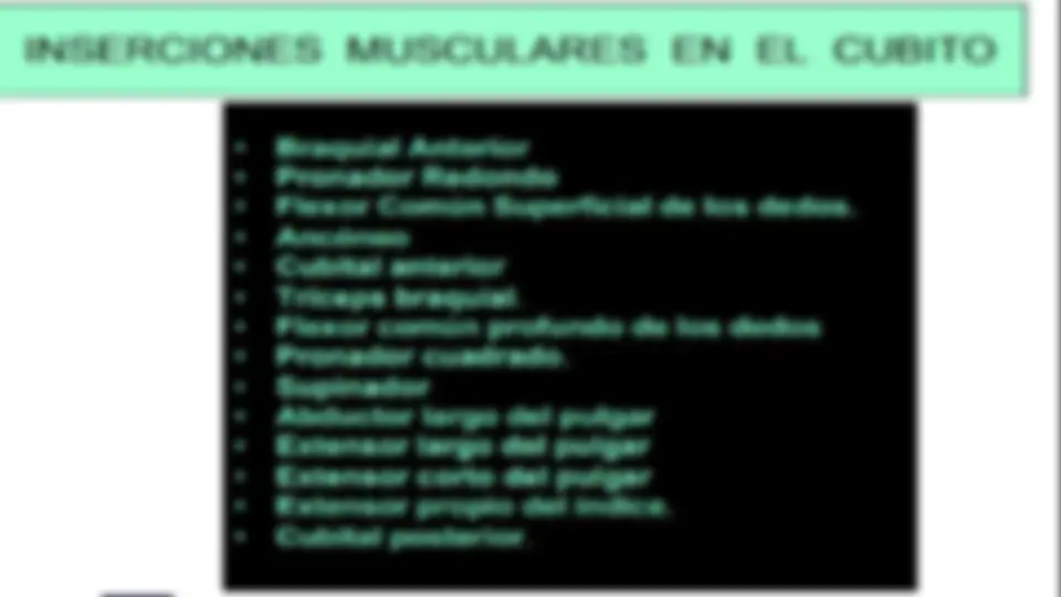 pf27