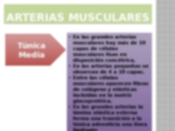 pf13