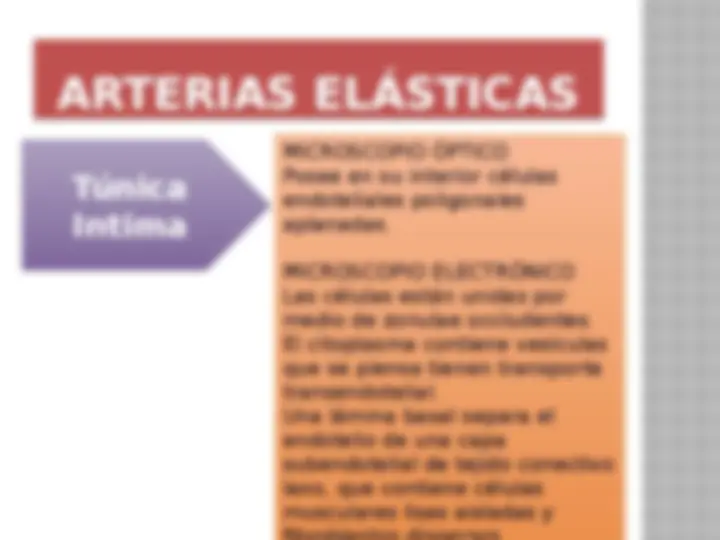 pfe
