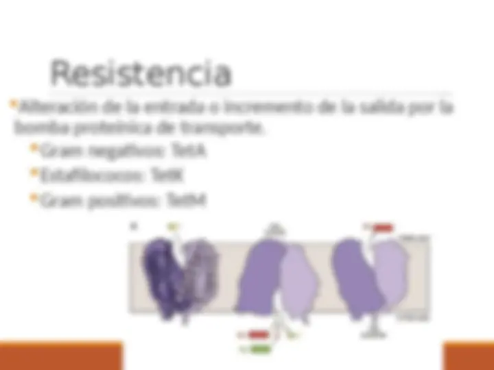 pf8