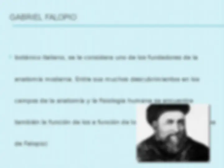 pf17