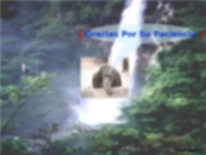 pf35