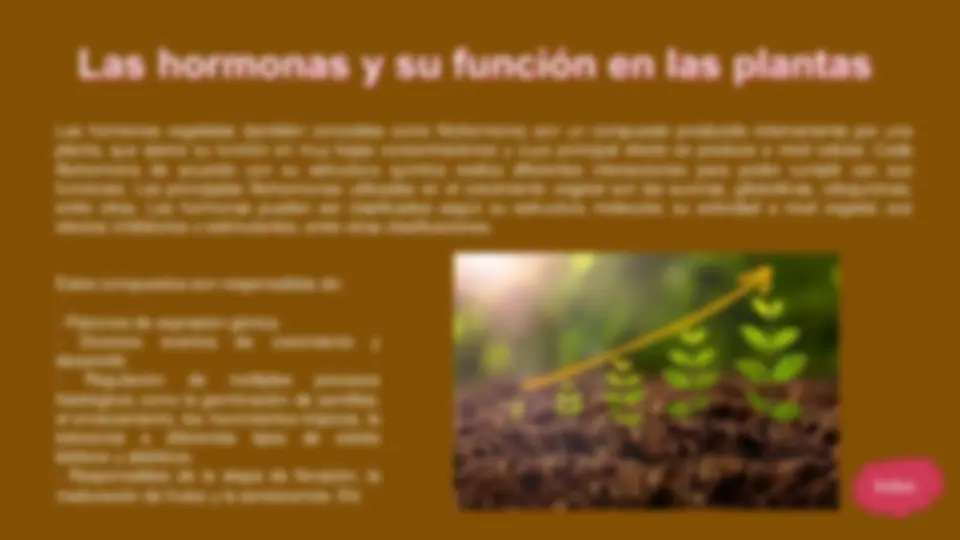 pf4