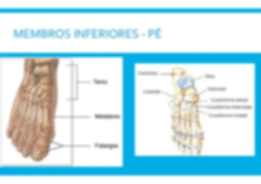 pf28