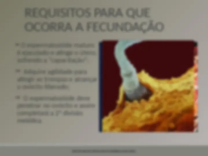 pf5