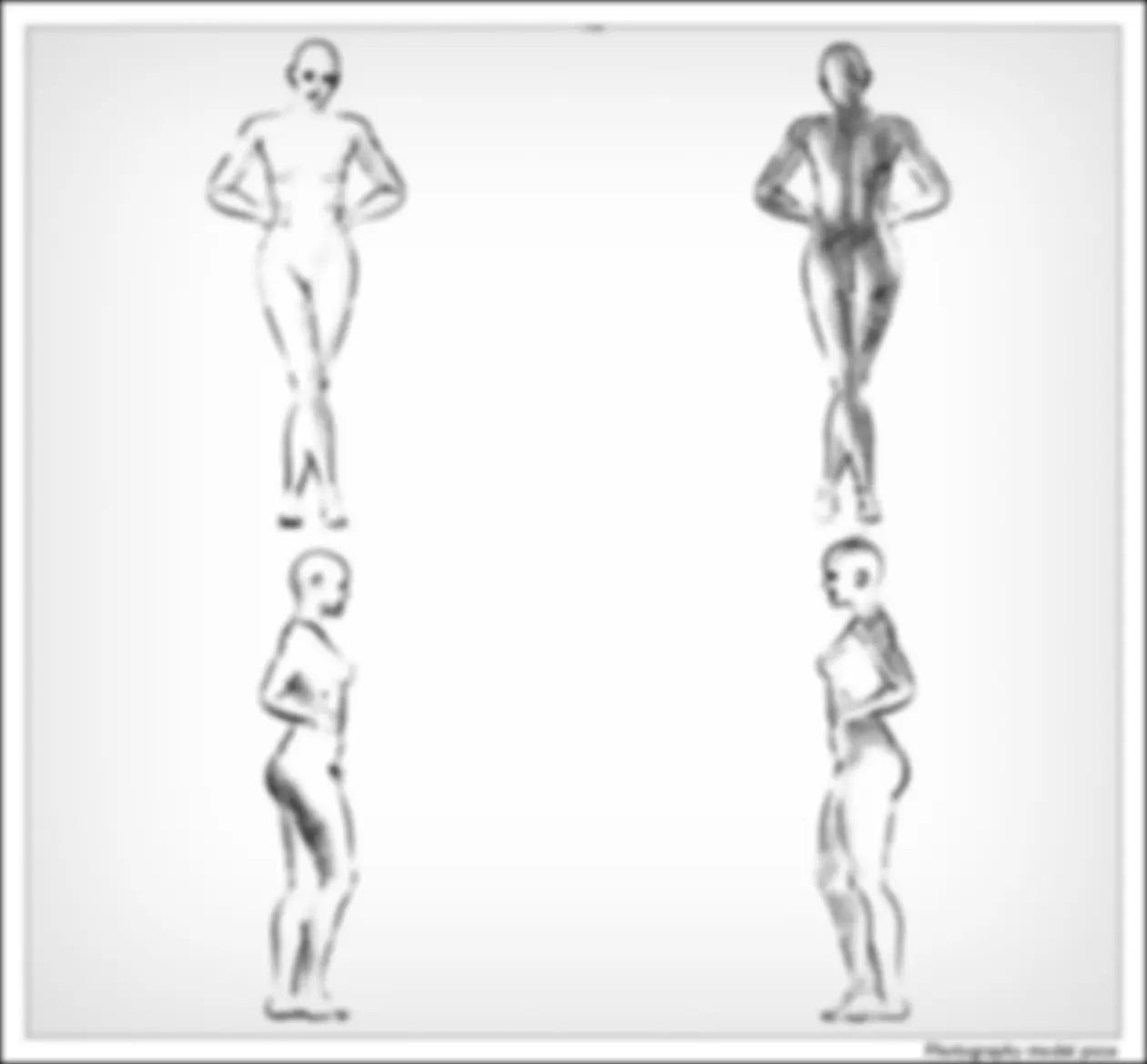 pf3d