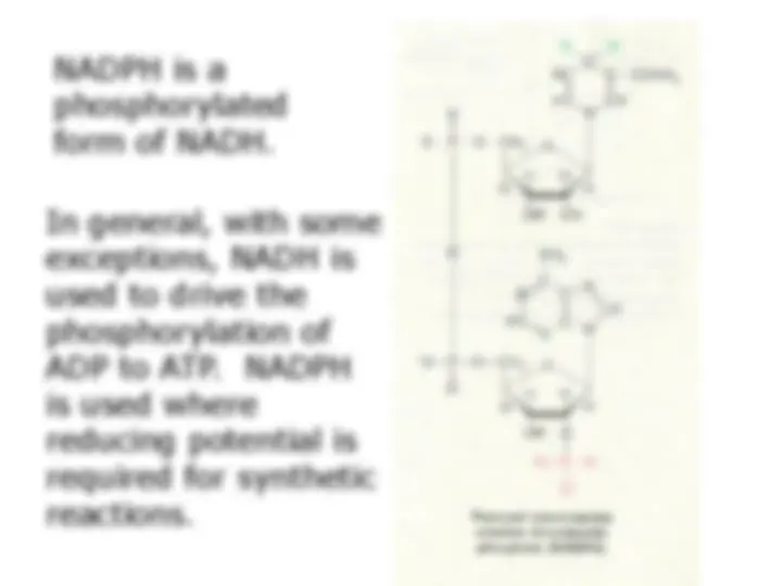 pfa