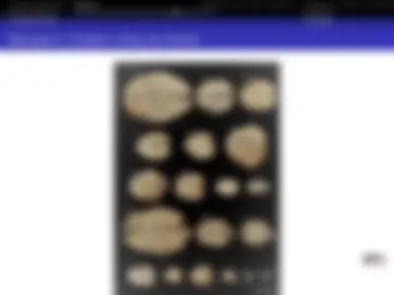pf25