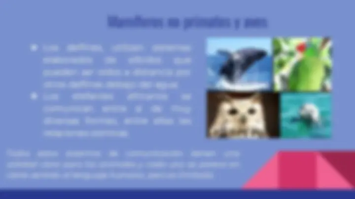 pff