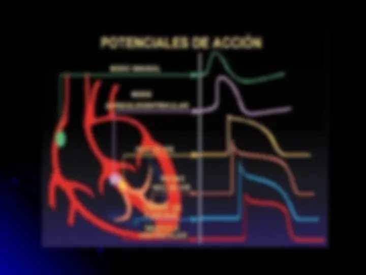 pf8
