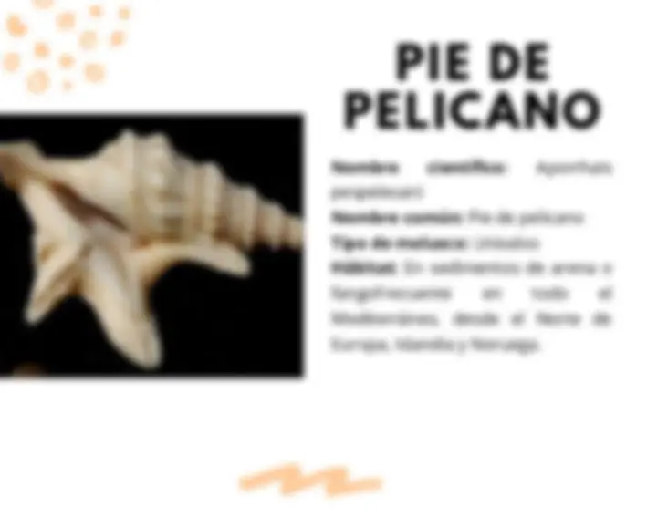 pf19