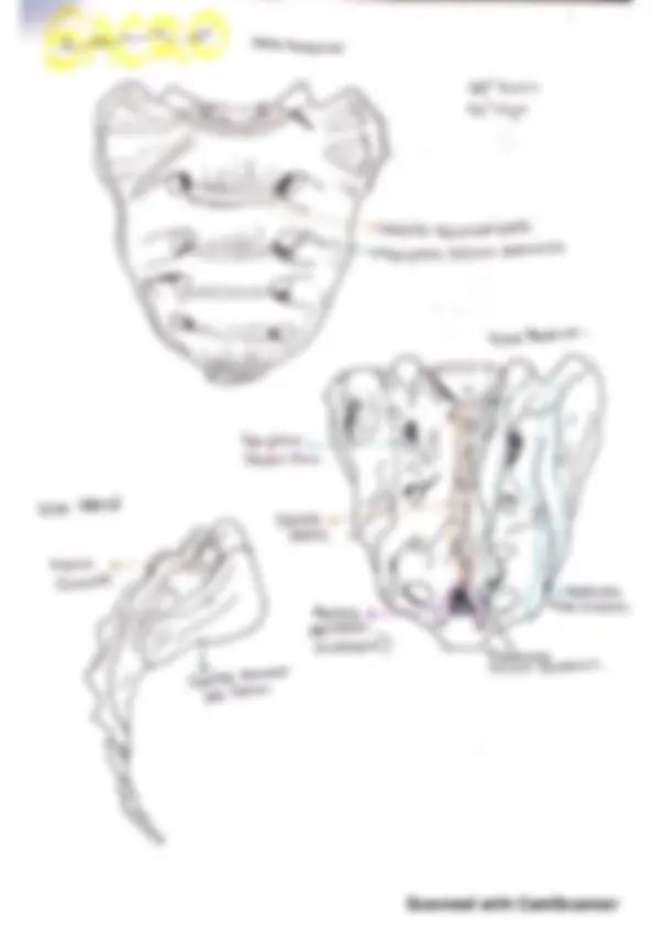 pf5