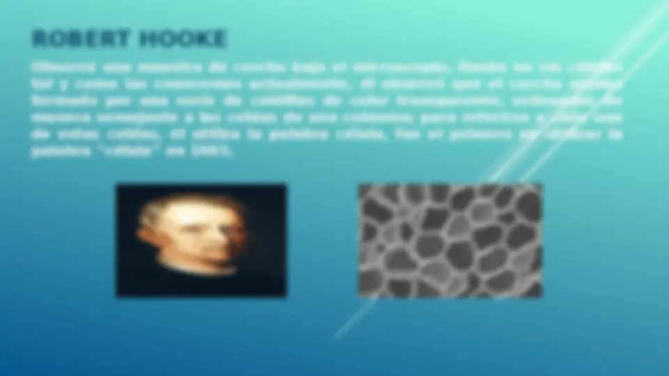 pf3