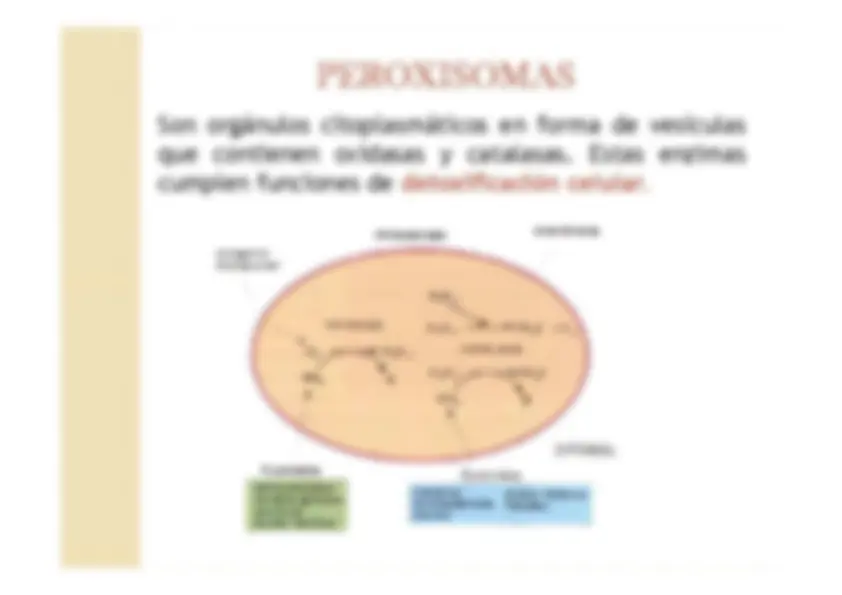 pf1a