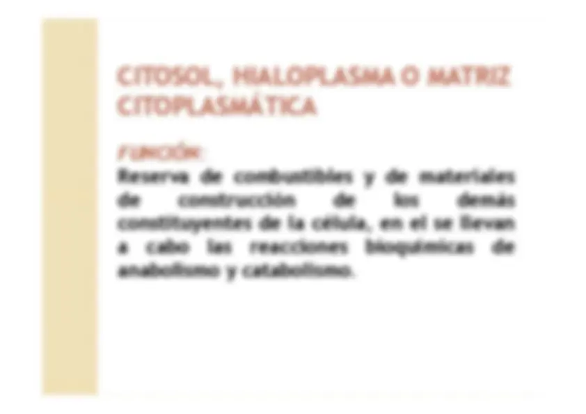 pf4