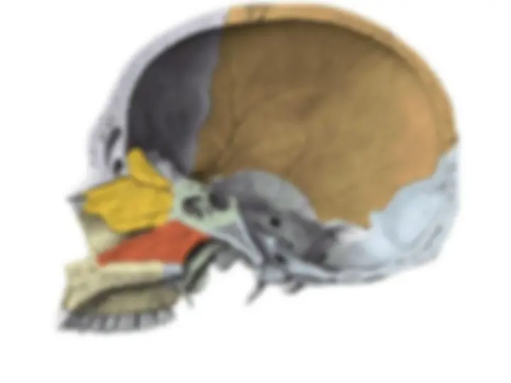 pf33