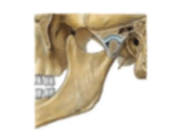 pf3d