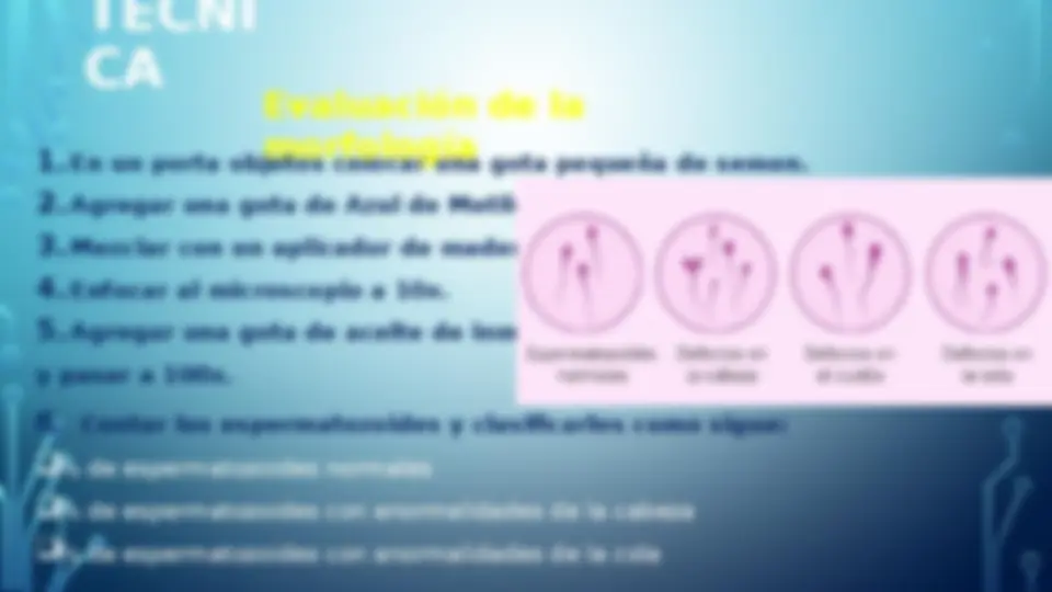 pf3