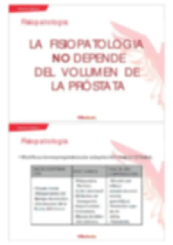 pf19