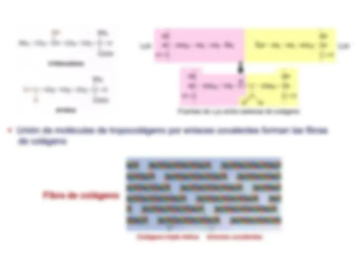 pff