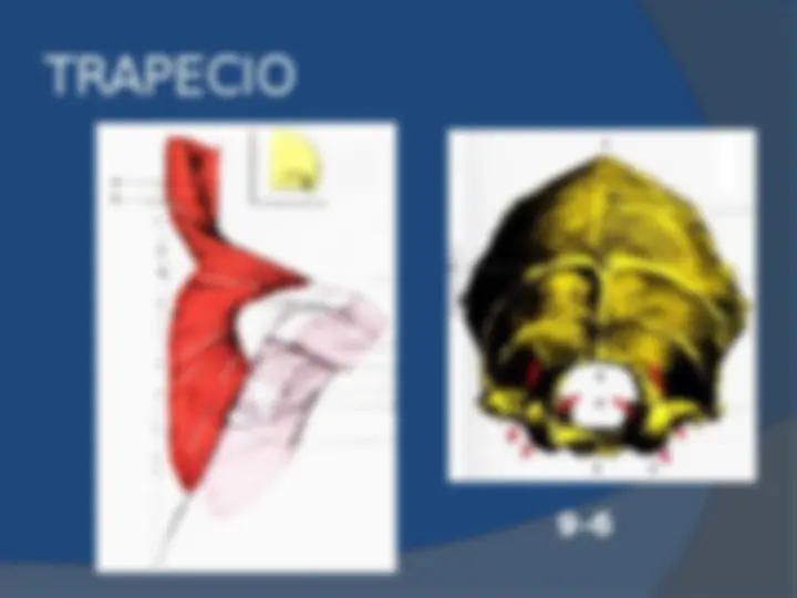 pf4