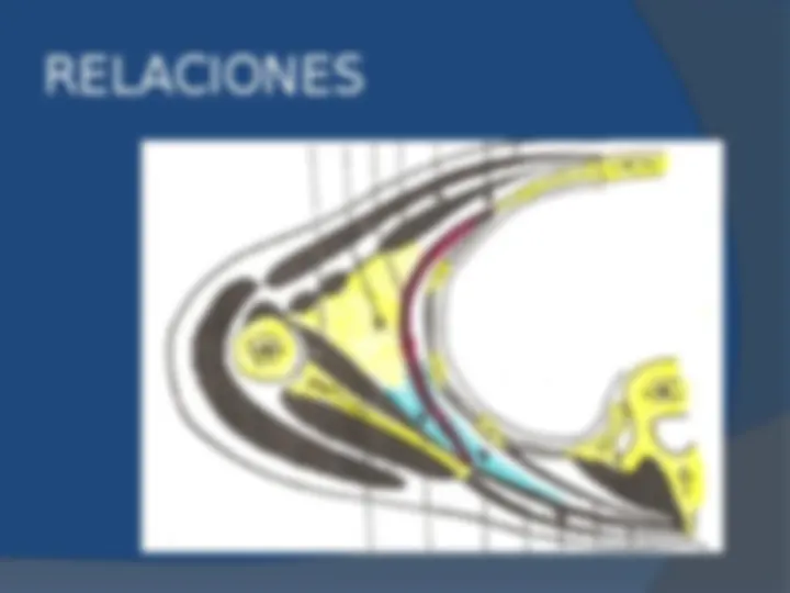 pff