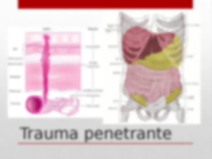 pfe