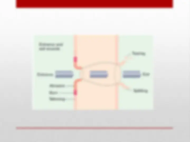 pf17