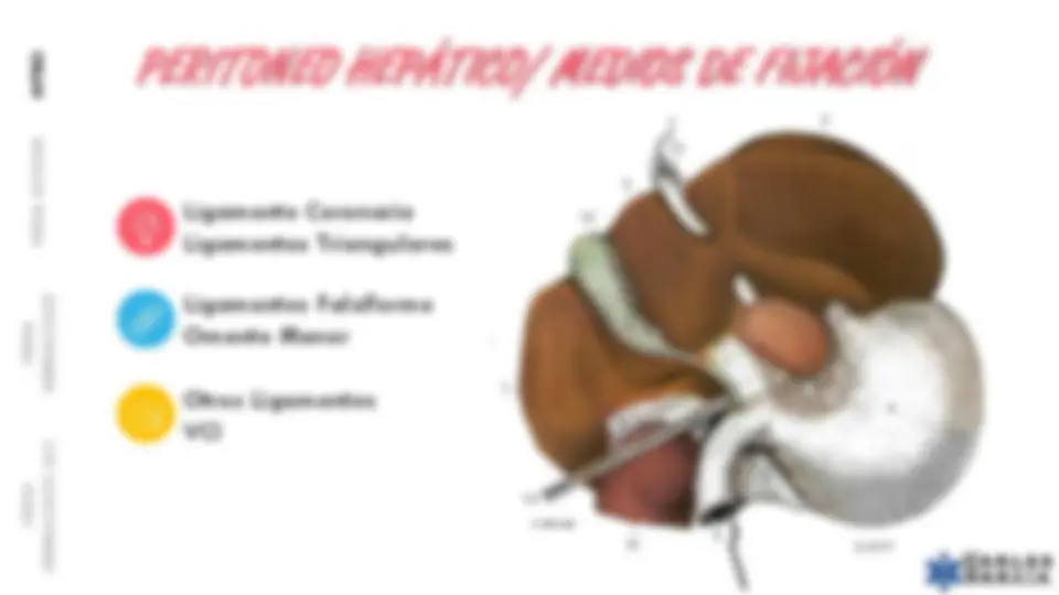 pff
