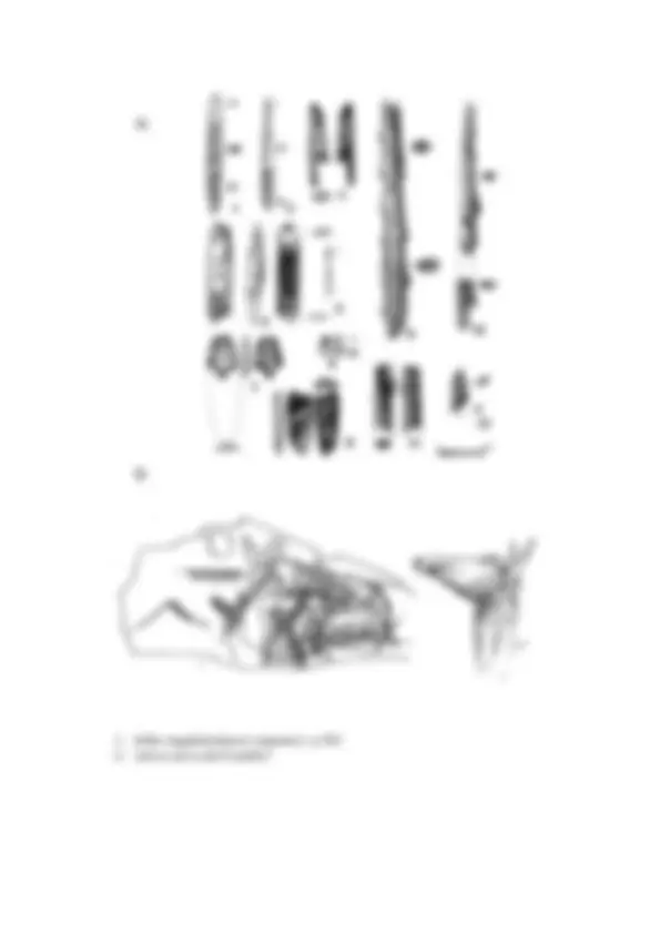 pf3