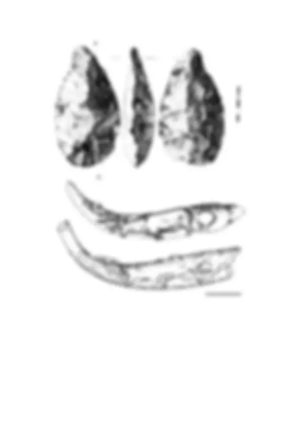 pf13
