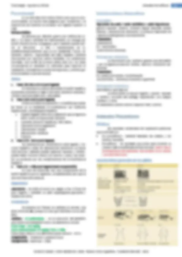 pf2e