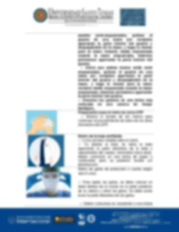 pf24