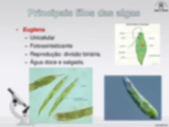 pf1a