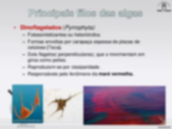 pf1b