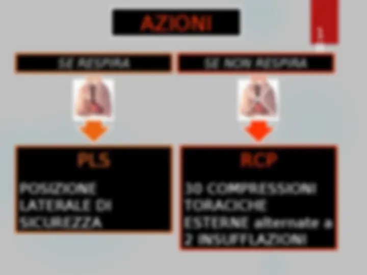 pf12