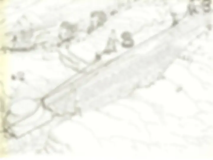 pf16